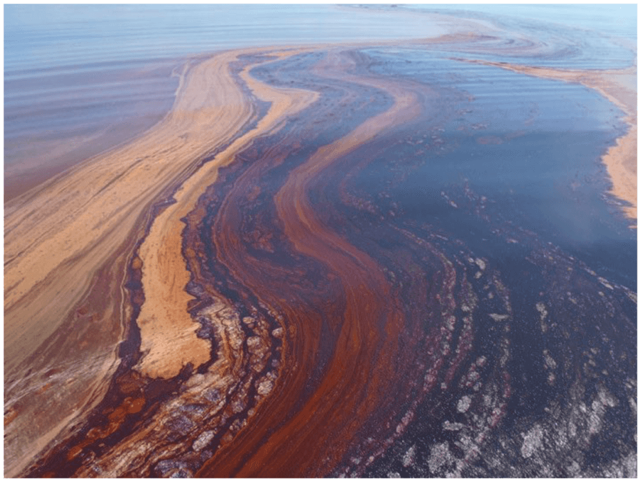 Can we harness bacteria to help clean up future oil spills?