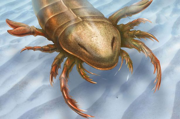 Bizarre Giant Sea Scorpion Discovered In Iowa