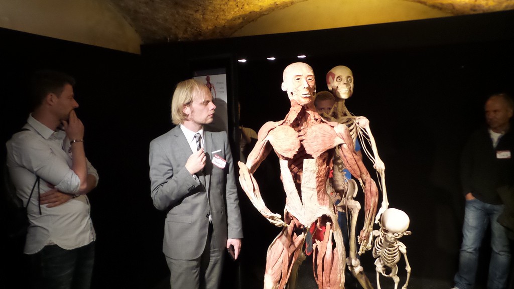 Reconsidering Body Worlds: why do we still flock to exhibits of dead human beings?