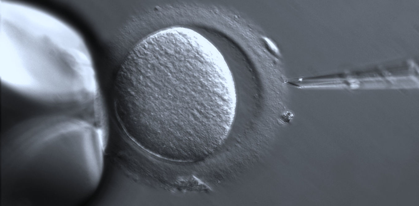 The next frontier in reproductive tourism? Genetic modification